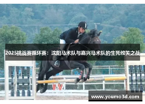 2025挑战赛循环赛：沈阳马术队与嘉兴马术队的生死攸关之战